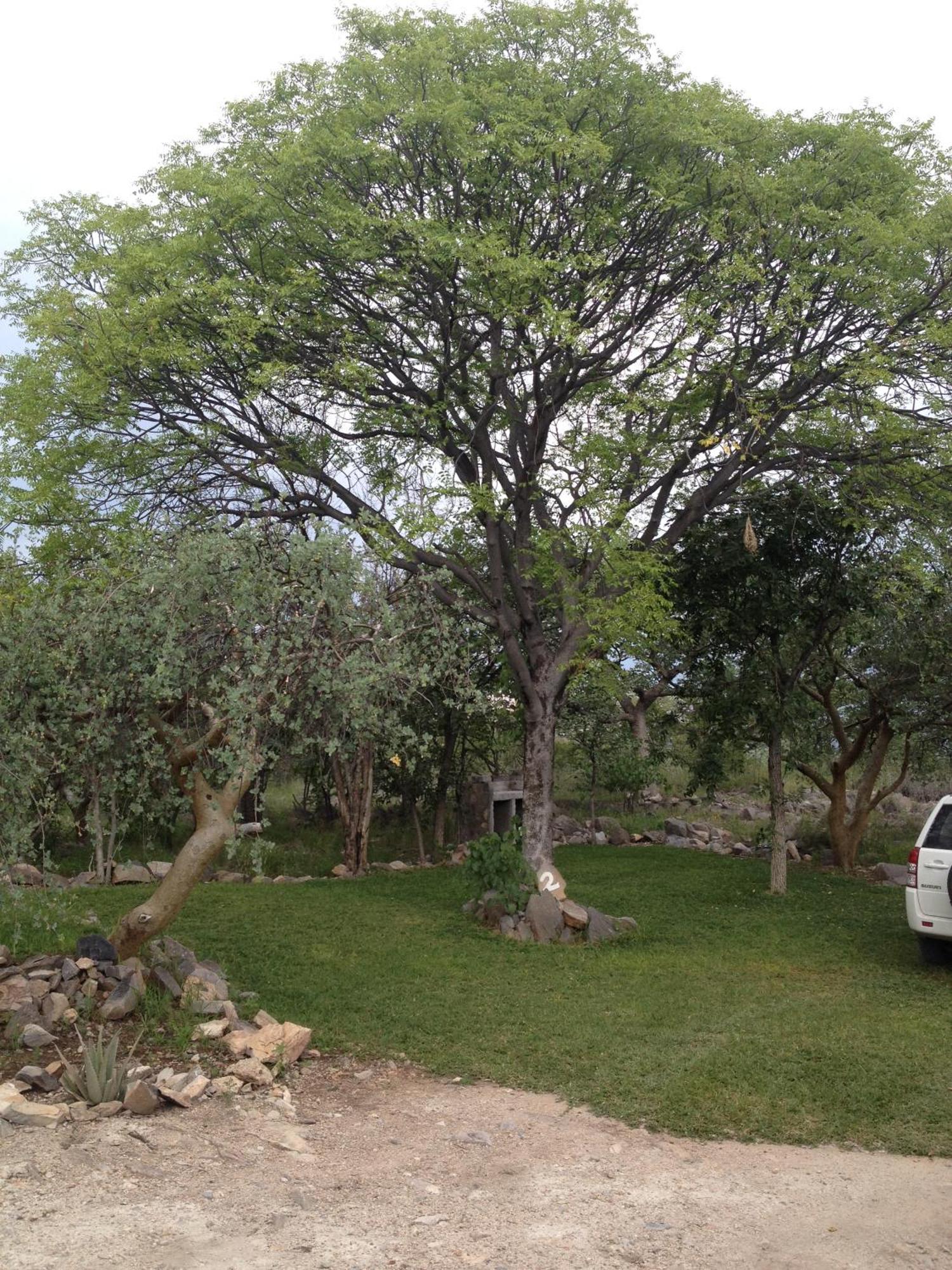 Mondjila Safari Camp Villa Okaukuejo Exterior photo